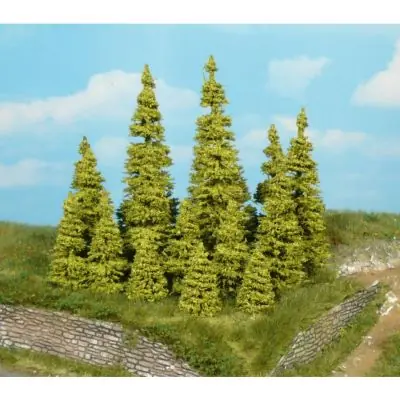Direktkauf Heki 2147 Lärchen, 7-11 cm hoch (7 Stück)