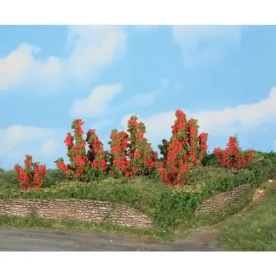 Mega-Angebot Heki 11801 6 Rosensträucher 3-6 cm