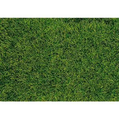 Nur Für Kurze Zeit Heki 1573 Wildgras/Moorboden, 28 x 14 cm