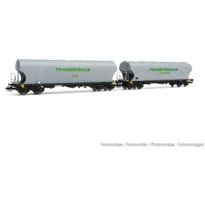 Top-Angebot Arnold HN9735 2-tlg. Set Schwenkdachwagen "Transcéréales